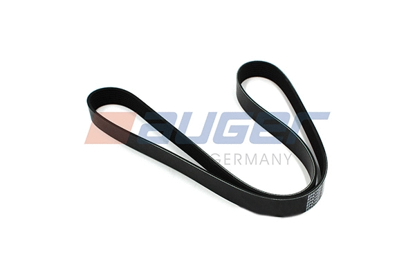 V-Ribbed Belt (79918)