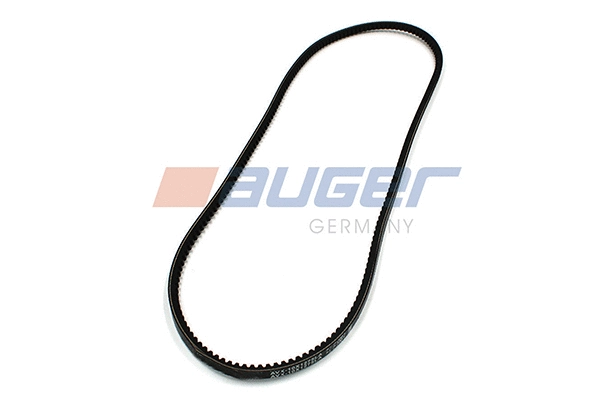 V-Belt (79827)