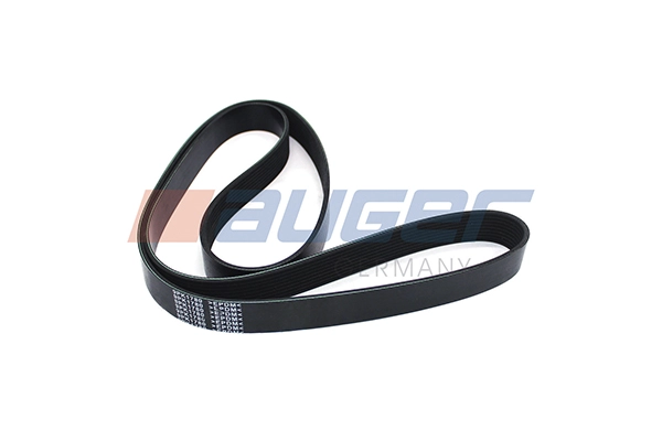 V-Ribbed Belt (79961)