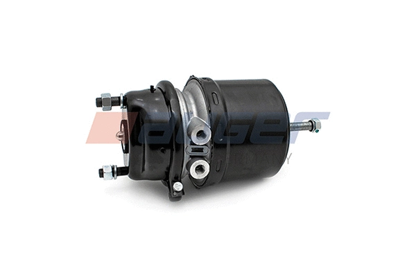 Spring-loaded Cylinder (21138)