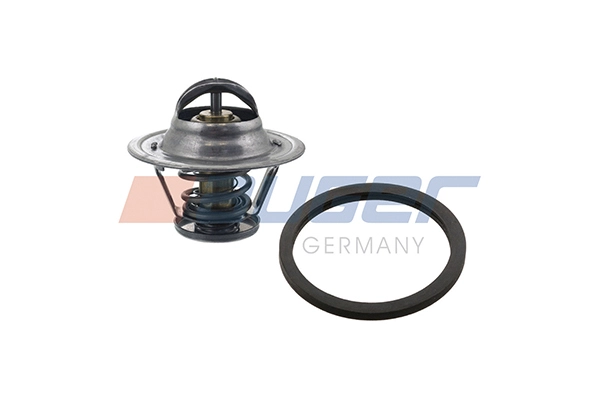 Thermostat, coolant (98845)