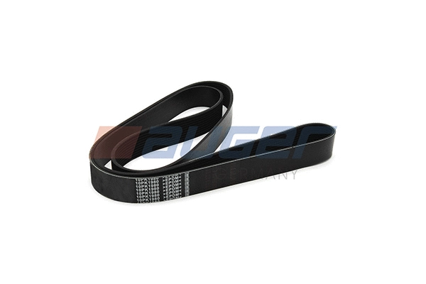 V-Ribbed Belt (80039)