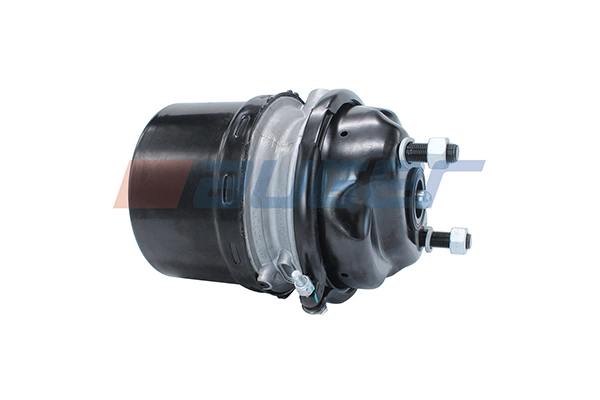 Spring-loaded Cylinder (21207)