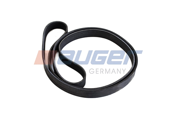 V-Ribbed Belt (80128)