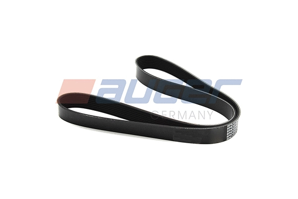 V-Ribbed Belt (79911)