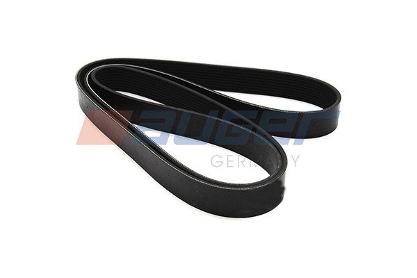 V-Ribbed Belt (79965)