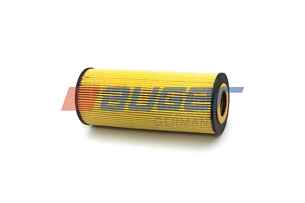 Oil Filter (76806)