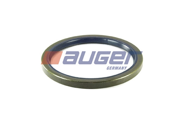 Shaft Seal, wheel hub (69177)