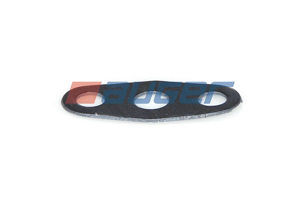 Gasket, charger (78951)