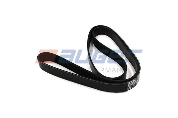 V-Ribbed Belt (79925)