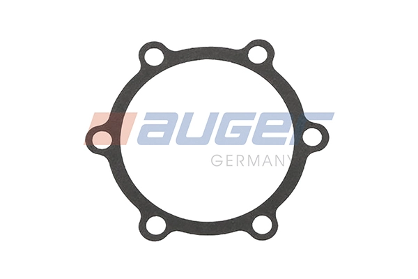 Gasket, water pump (114418)