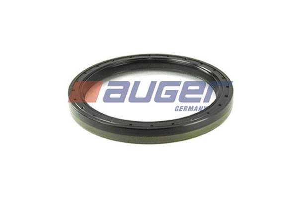 Shaft Seal, wheel hub (69198)