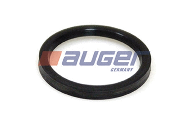 Seal Ring, steering knuckle (54858)