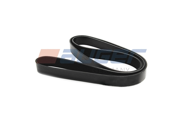 V-Ribbed Belt (79966)