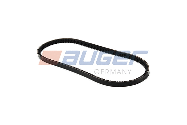 V-Belt (79863)