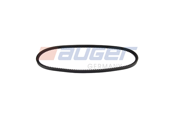 V-Belt (79869)