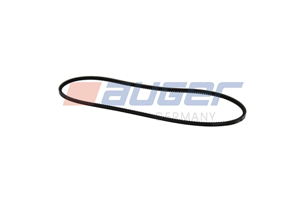 V-Belt (79866)