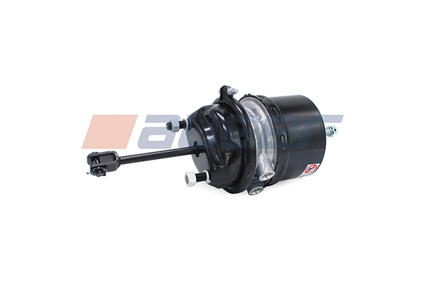 Spring-loaded Cylinder (21343)