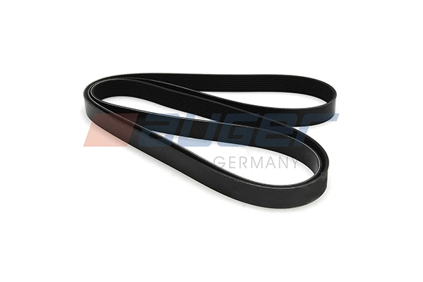 V-Ribbed Belt (79952)