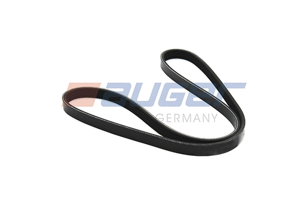 V-Ribbed Belt (80055)