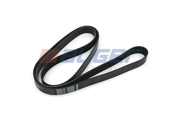 V-Ribbed Belt (80100)