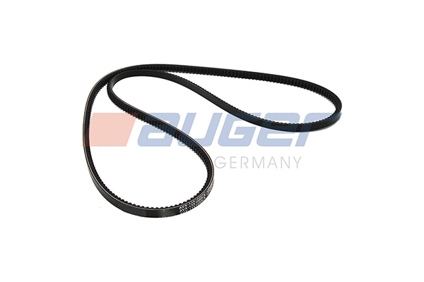 V-Belt (79875)