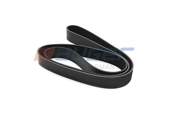 V-Ribbed Belt (79993)