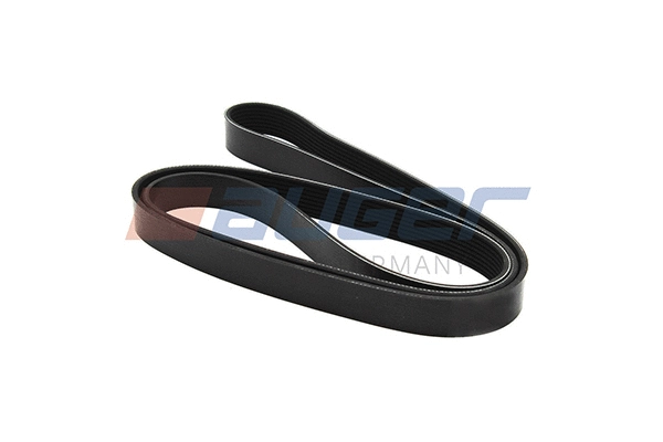 V-Ribbed Belt (79942)