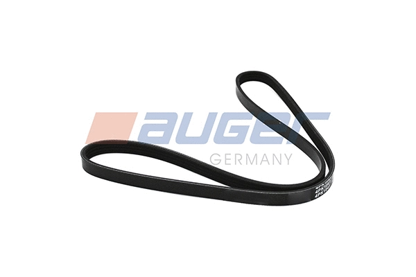 V-Ribbed Belt (90539)