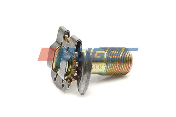 Adjusting Bolt, braking system (60231)