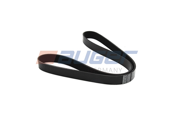 V-Ribbed Belt (80095)