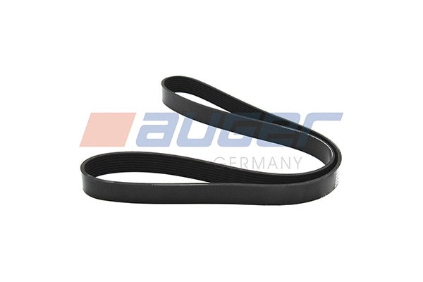 V-Ribbed Belt (79915)