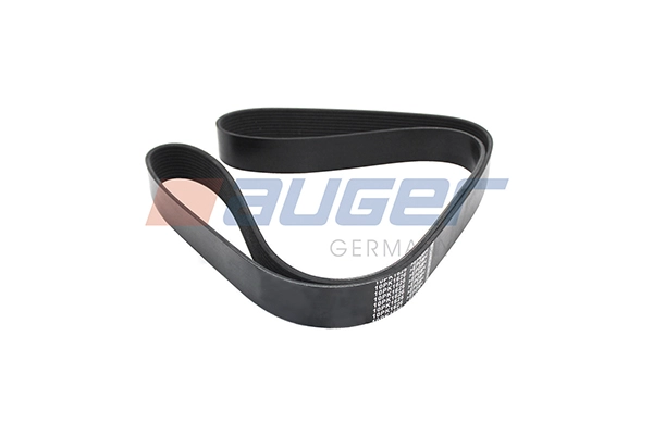 V-Ribbed Belt (79989)