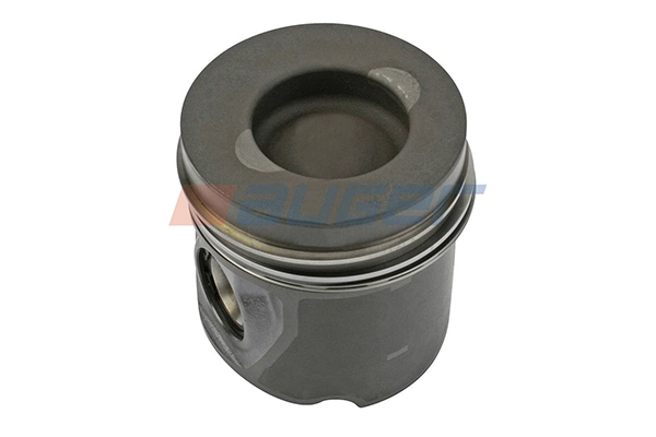 Piston (102961)