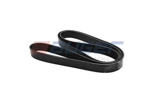 V-Ribbed Belt (79968)