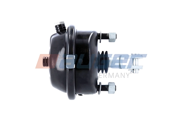 Spring-loaded Cylinder (21271)