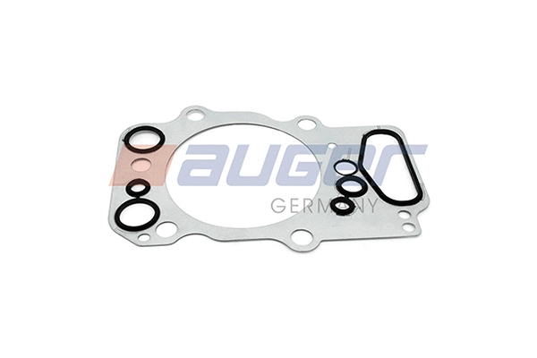 Gasket, cylinder head (81910)