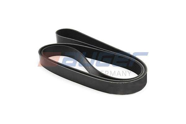 V-Ribbed Belt (79969)