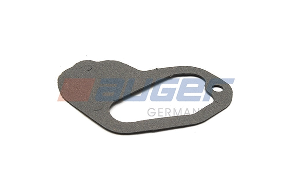 Gasket, water pump (87149)