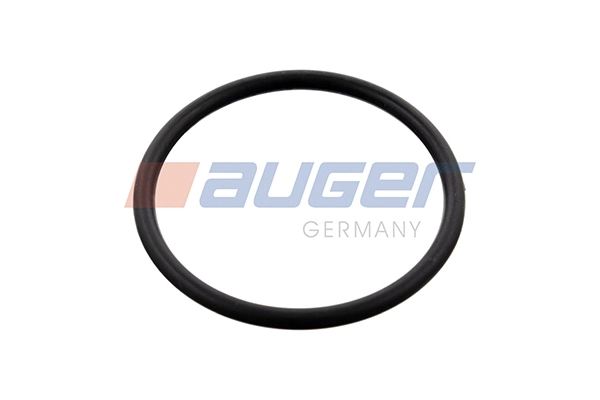 Gasket, thermostat housing (113779)