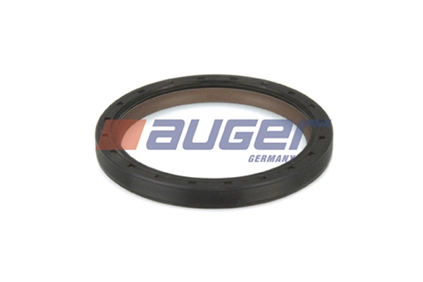 Shaft Seal, crankshaft (69301)