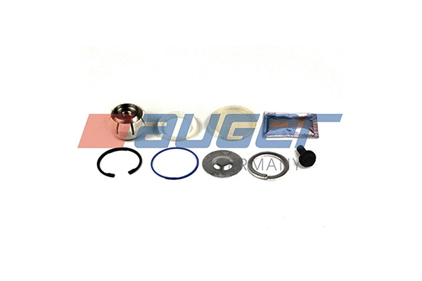Repair Kit, control/trailing arm (51974)