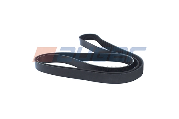 V-Ribbed Belt (79949)