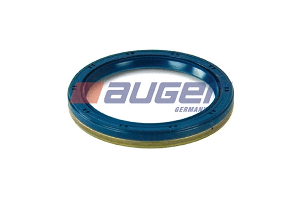 Shaft Seal, differential (69217)