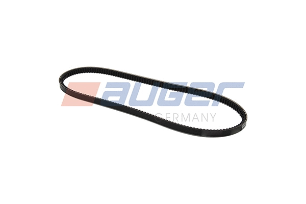 V-Belt (79871)