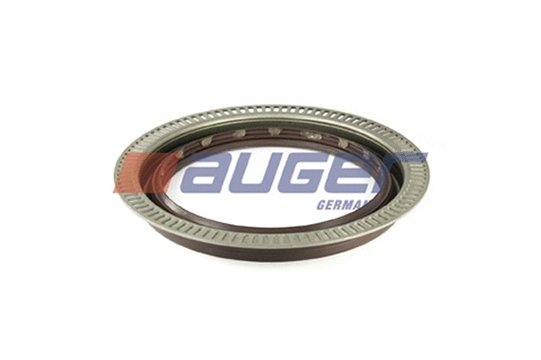 Shaft Seal, wheel hub (69168)