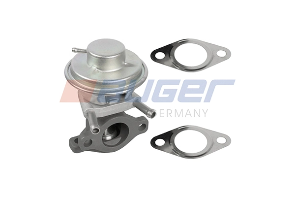 EGR Valve (110913)