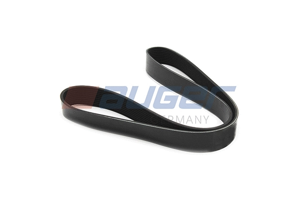 V-Ribbed Belt (79981)