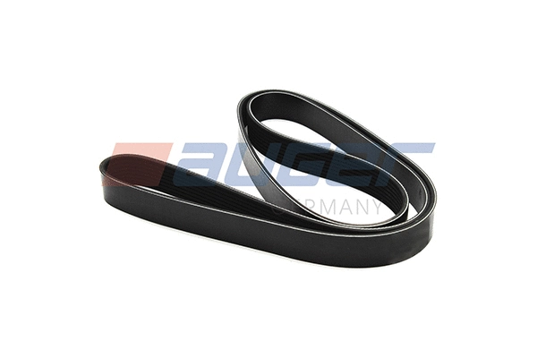 V-Ribbed Belt (87734)