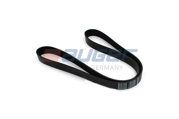V-Ribbed Belt (80071)